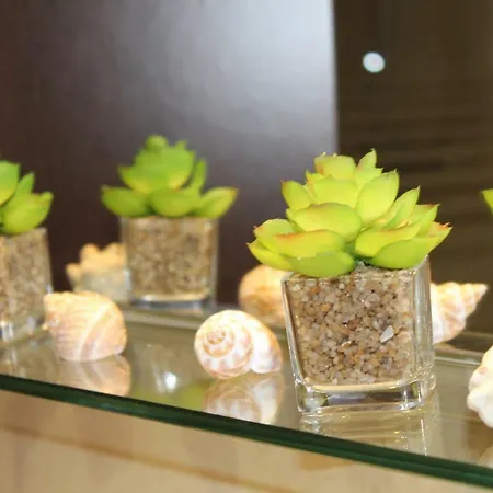 Apartment Apartamento Centro